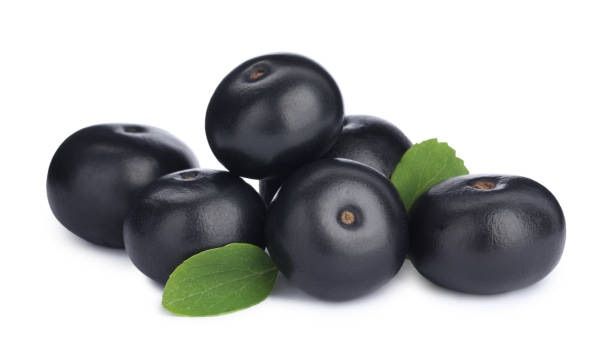 Acai - The Tree of Life