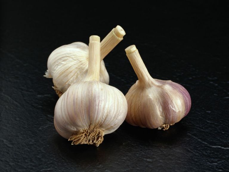 Garlic - Nature’s Antibiotic Medicine