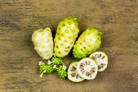 Noni – Fruit of the Pacific