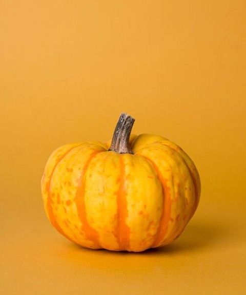 Humble Pumpkin Help