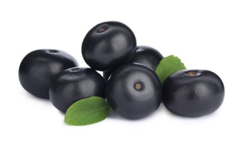 Acai - The Tree of Life