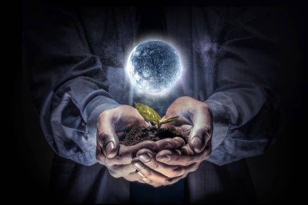 Gardening by the Moon