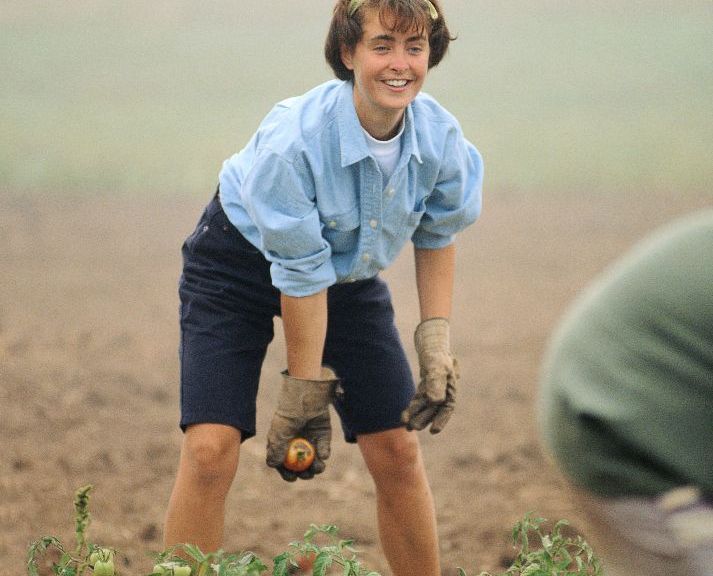 Gardening In the Dry Weather 