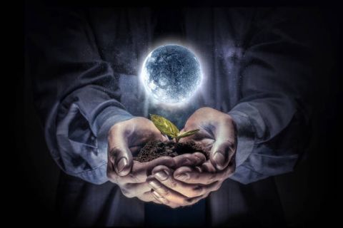 Gardening by the Moon