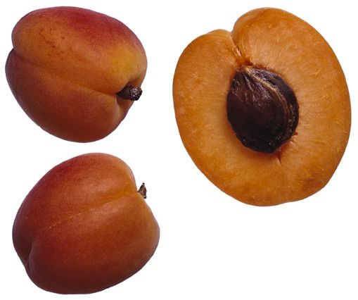 Apricot Kernels