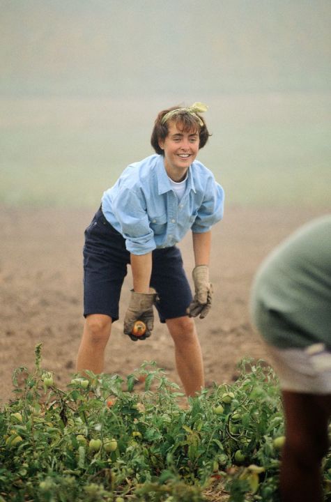 Gardening In the Dry Weather